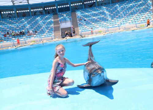 Dolphinarium